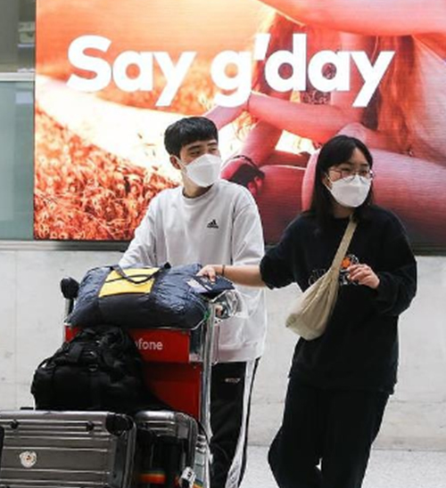 现场直击! 中国恢复澳团签后, 澳机场中国游客人数激增, 占比升至第二