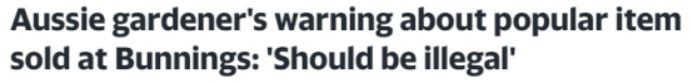 澳华人后院种菜, 千万别在Bunnings买这种热门幼苗! 太坑了…